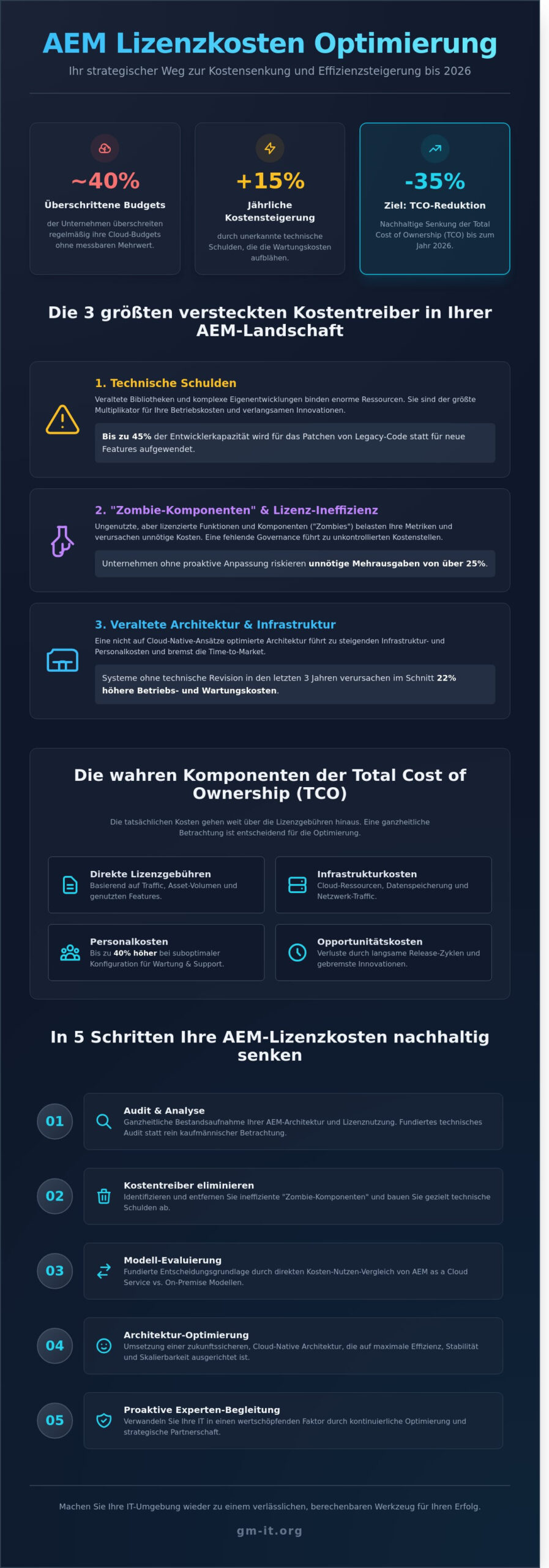AEM Lizenzkosten Optimierung: Der strategische Leitfaden zur TCO-Senkung 2026