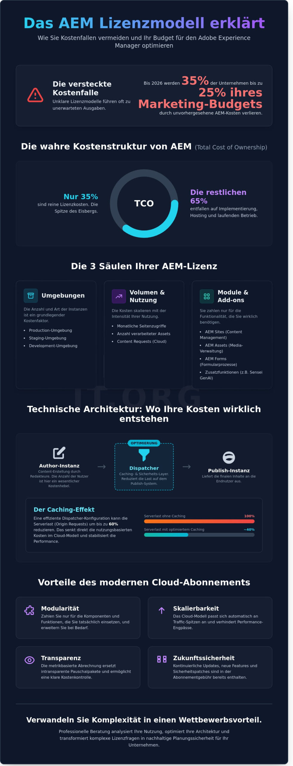 AEM Lizenzmodell erklärt: Strategien zur Kostenoptimierung 2026 - Infographic